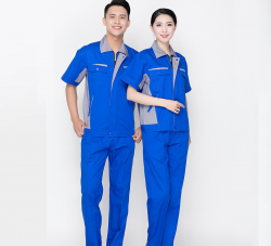 豆奶视频APP下载定做